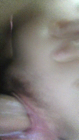a447aa1f2ec65.gif